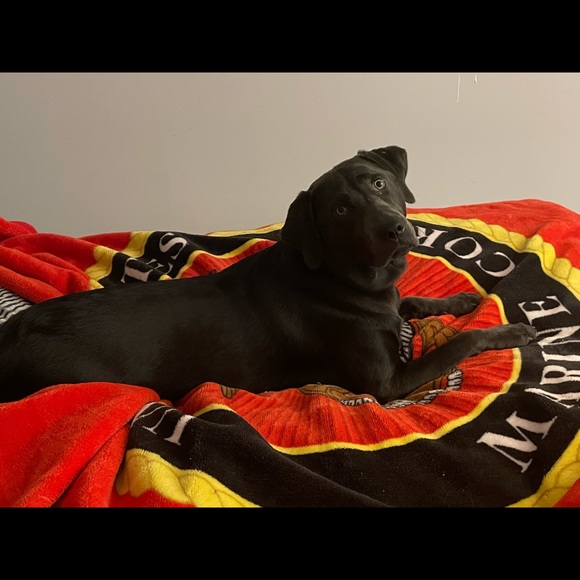 Meet your Posher, Michelle - Picture 2 of 4